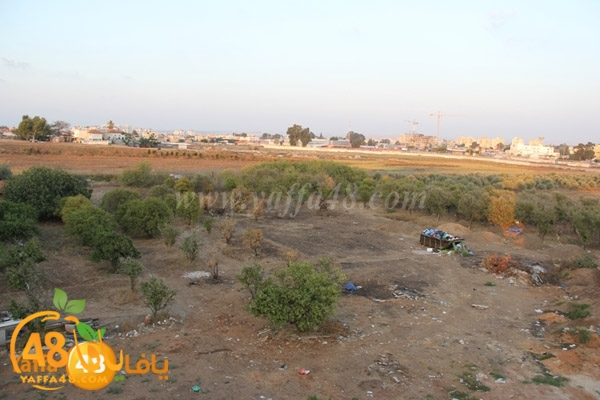 dahmash report3 (2).JPG